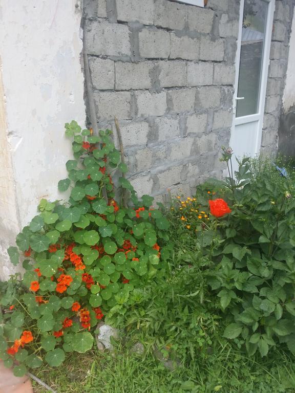 Zura'S Guesthouse Kazbegi Exterior photo